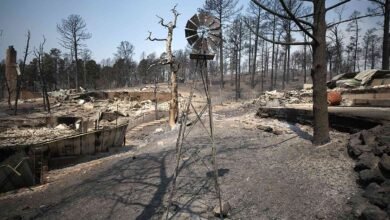 Grandfather of 7 Among 2 Dead in New Mexico Wildfires: ‘Hope He Didn’t Suffer,’ Son Says