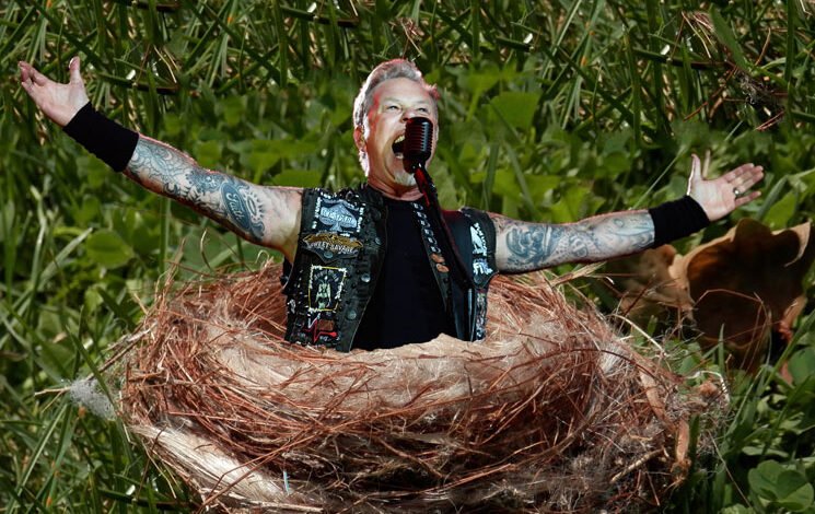 Metallica’s James Hetfield Is a Big Time Birder: “I’ve Got Probably Six Bird Feeders” | Exclaim!