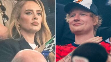 Adele and Ed Sheeran Spotted in the Stands at UEFA Championships in Germany