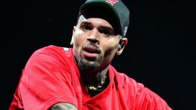 Chris Brown Sued for  Million After Arena Security Member Claims They Were Injured After Alleged Concert Assault