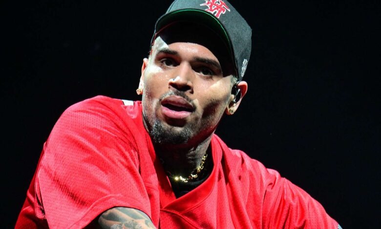 Chris Brown Sued for  Million After Arena Security Member Claims They Were Injured After Alleged Concert Assault