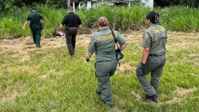 Kids Discover Skeletal Remains While Playing in Abandoned Florida House