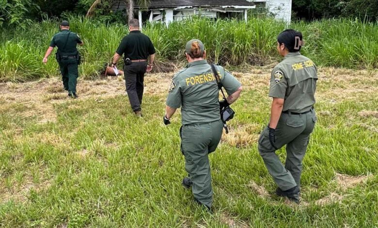 Kids Discover Skeletal Remains While Playing in Abandoned Florida House