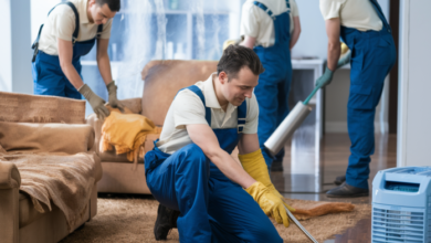 The Ultimate Guide to Damage Restoration Services: Restoring Your Home to Its Former Glory – Chart Attack