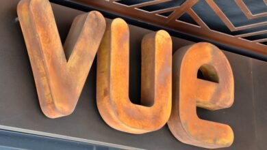 Vue Hires Chief Information Officer & General Manager In The Netherlands