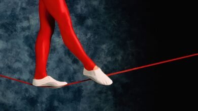 Circus Performer Hospitalized After Fall from Tightrope onto Metal Floor: ‘Her Leg Gave Way’