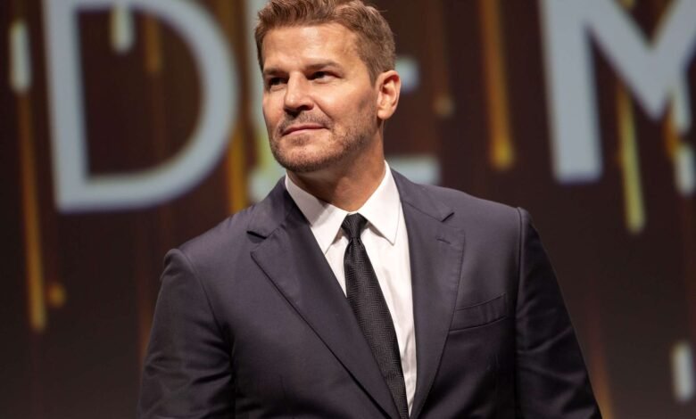 David Boreanaz Is Ready to Give His Body a Rest After SEAL Team Series Finale: ‘I Had 4 MRIs in 4 Months’ (Exclusive)