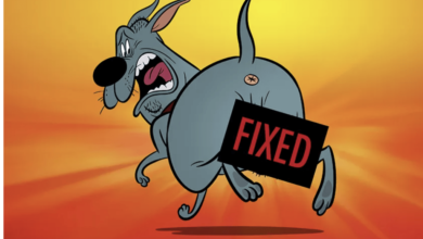 Genndy Tartakovsky’s Adult Animated Movie ‘Fixed’ Won’t Be Released By Warners; Sony Looking For New Buyer