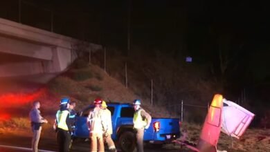 Car Passenger Dies After Horse Gets Loose from Trailer and Smashes Through Windshield on Calif. Highway: Reports