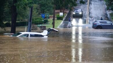 Fox Weatherman Interrupts Live Broadcast To Save Screaming Woman Trapped In Flooded Car