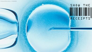 The 3,750 Reality of An IVF Journey