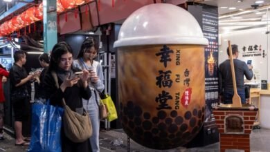 Bubble tea company apologizes after Dragons’ Den cultural appropriation spat | CBC News