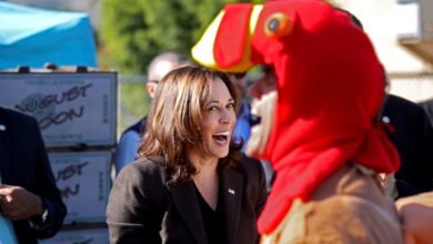 Kamala Harris’s Family-Favorite Thanksgiving Recipe Only Requires 5 Steps