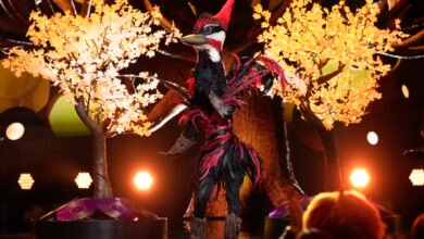 ‘The Masked Singer’ has wild double elimination with Woodpecker and Ship