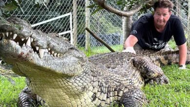 YouTuber Dubbed ‘South Africa’s Steve Irwin’ Dies After Being Bitten by Venomous Snake