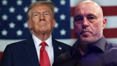 Joe Rogan Endorses Donald Trump On Eve Of Election