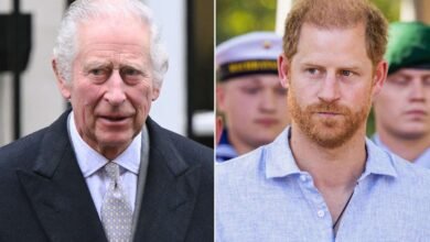 King Charles Fears ‘Legal Jeopardy’ in Rebuilding Bridges with Prince Harry: Report