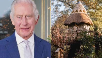 Prince William and Prince Harry’s Childhood Treehouse Gets a Special Makeover at King Charles’ Home