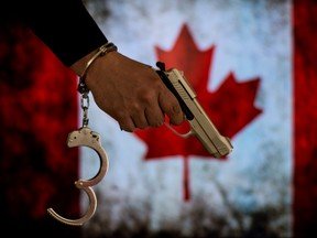 Report finds that most Canadian crime rates higher than U.S.