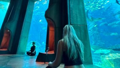 I Tried Underwater Yoga at Atlantis, The Palm, Surrounded by Sharks and Stingrays