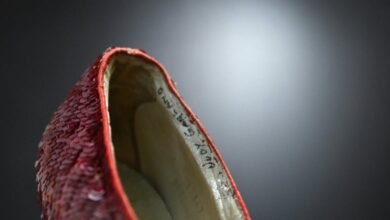 Ruby slippers worn by Judy Garland in Wizard of Oz, and once stolen from a museum, sell for M US | CBC News