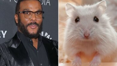 Tyler Perry Recalls a Teacher Killing His Pet Hamster When He Was a Child: ‘No One Asked Me What Happened’